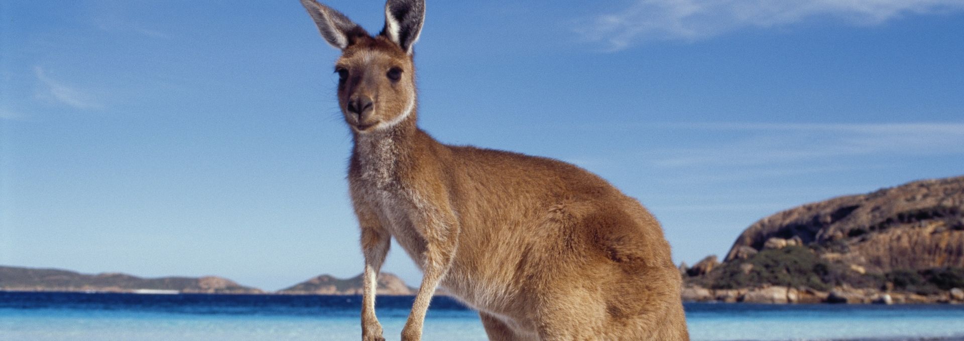 Australia day tours