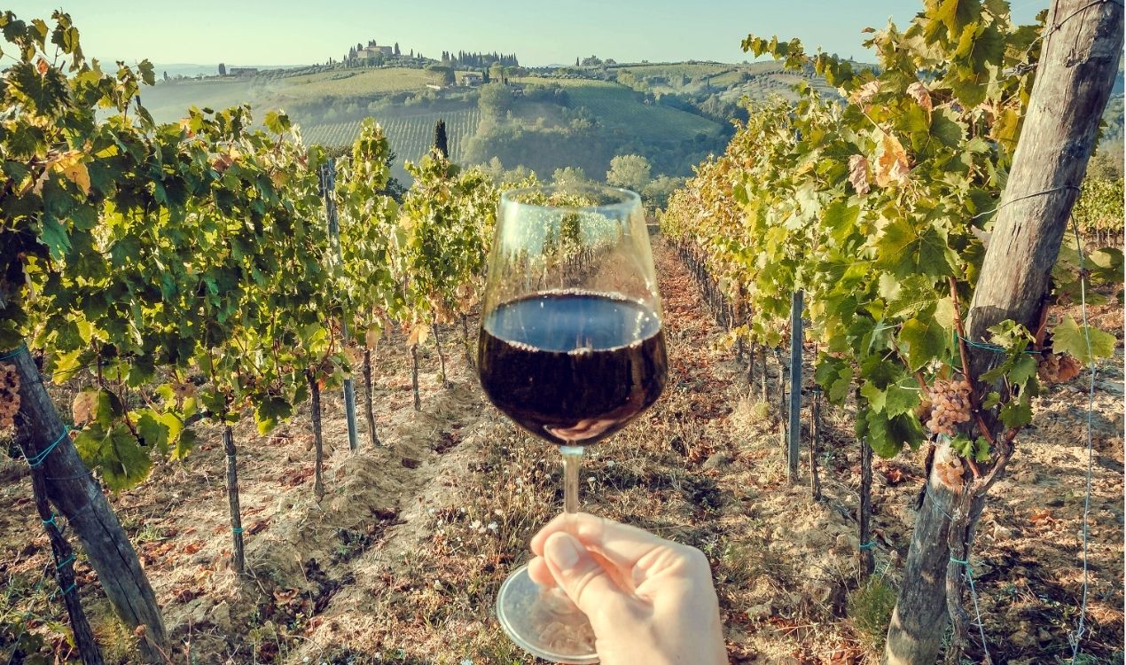 MONA & Coal Valley Wine Day