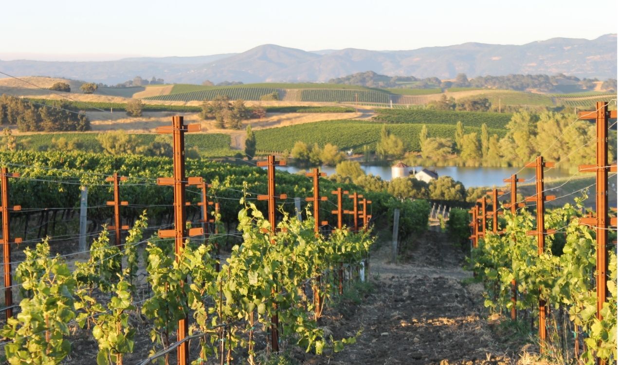 Swan Valley Food & Wine Trail