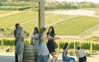 Hunter Valley vineyard