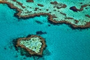 great barrier reef