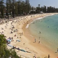 manly beach