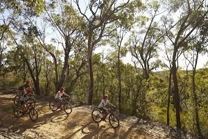 Mountain Biking in the Blue Mountains National Park