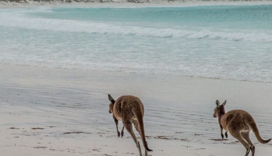 Kangaroo-Island